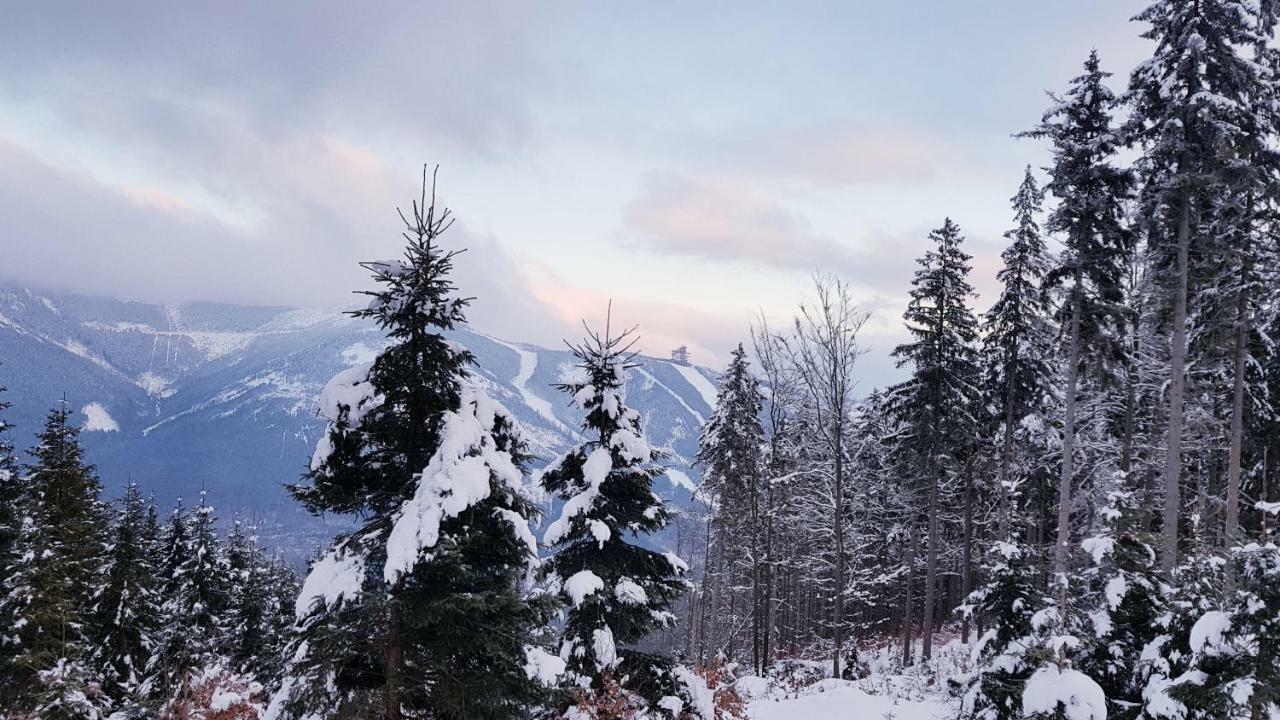 Apartmány Dolní Morava Esterno foto
