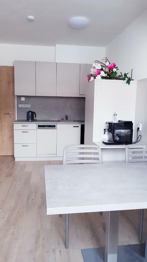 Apartmány Dolní Morava Esterno foto