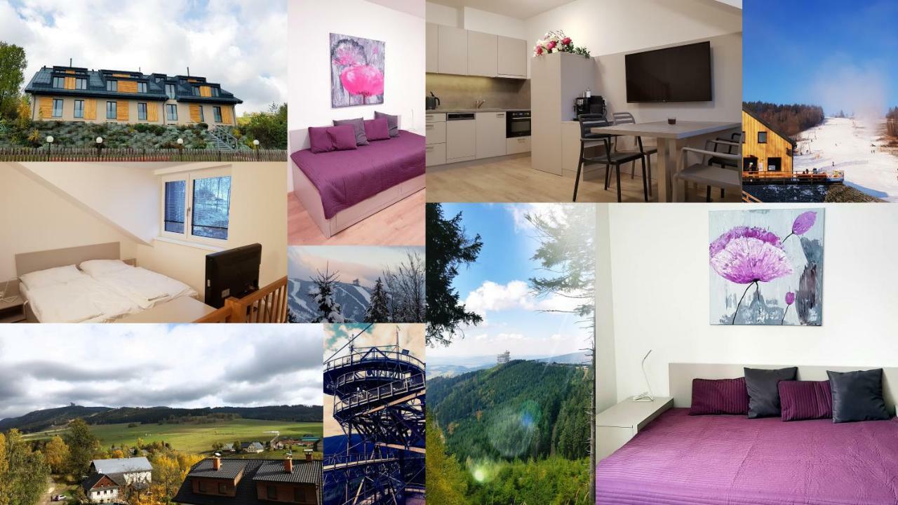 Apartmány Dolní Morava Esterno foto